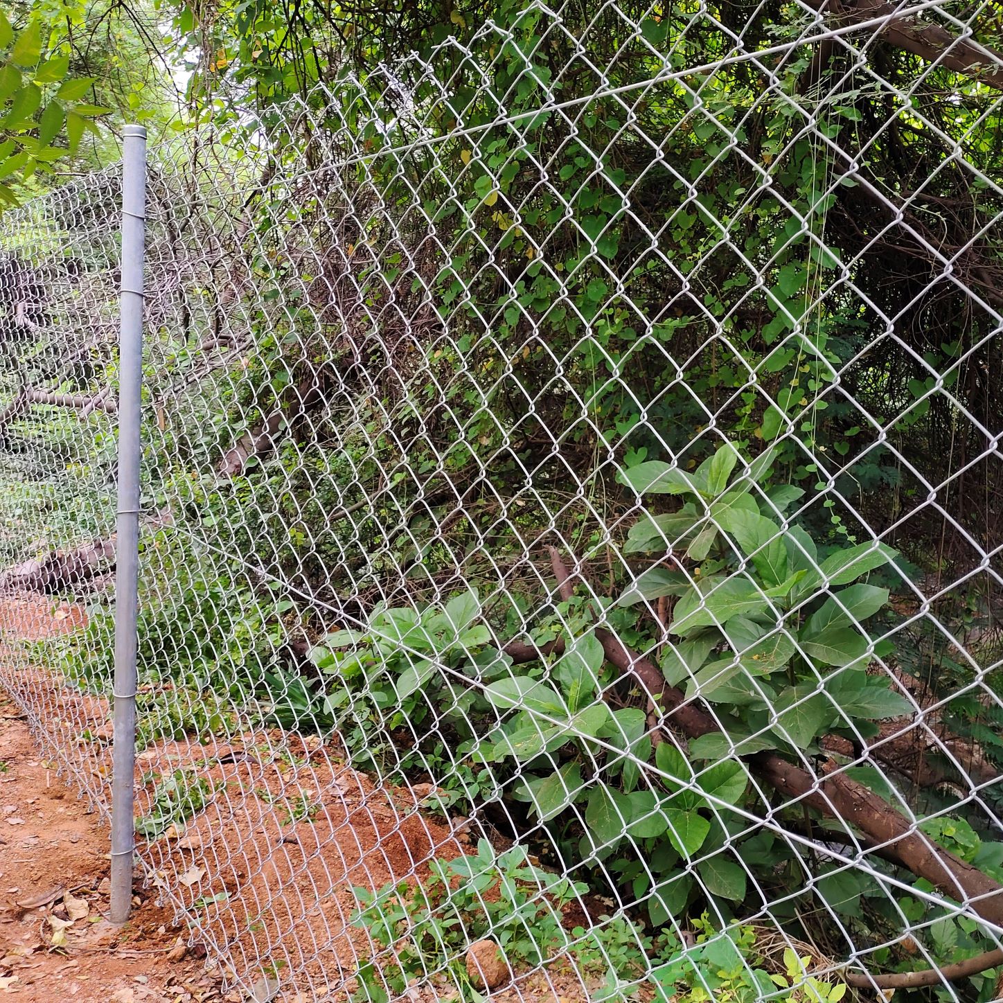 chain link fence near me